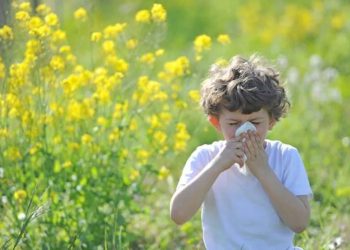 Alergjitë e pranverës, çfarë masash paraprake duhen marrë
