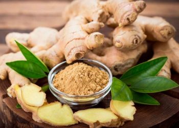 Përfitimet nga xhenxhefili për organet tona jetësore