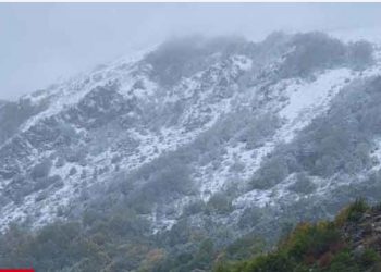 Zbardhen zonat malore në Librazhd