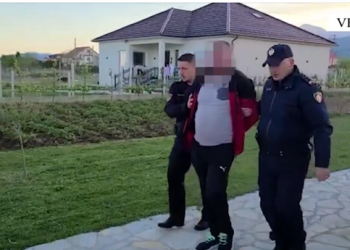 Kultivoi mbi 2 000 fidanë kanabis, arrestohet (Emri)