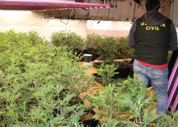 Zbulohen 14 shtëpi bari në Spanjë, arrestohen 19 shqiptarë e rusë