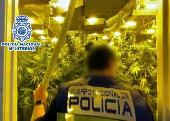 Policia spanjolle ‘bastis’ plantacionet me kanabis të shqiptarëve
