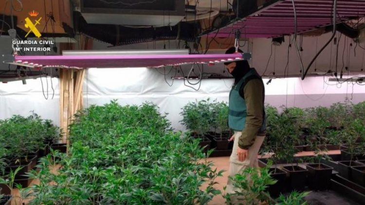 Shkatërrohet grupi kriminal i drogës, në pranga edhe shqiptarë