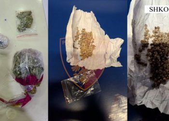 Shiste fara kanabisi, kapet 49 vjeçari në Shkodër