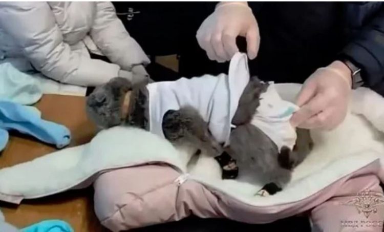 VIDEO/ Gruaja vesh macen si foshnjë për të kontrabanduar drogë