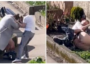 Gratë zihen keq me njëra-tjetrën, nxjerrin pjesët intime (VIDEO)