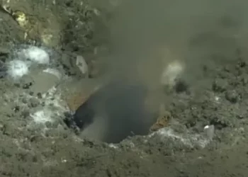 Zbulohet lëngu yndyror në fund të Oqeanit