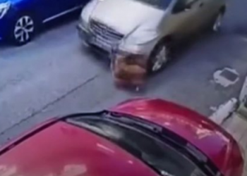 VIDEO/ Gruaja përplas qenin me makinë, gjobë 40 mijë euro