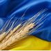 Polonia ndalon importin e grurit ukrainas