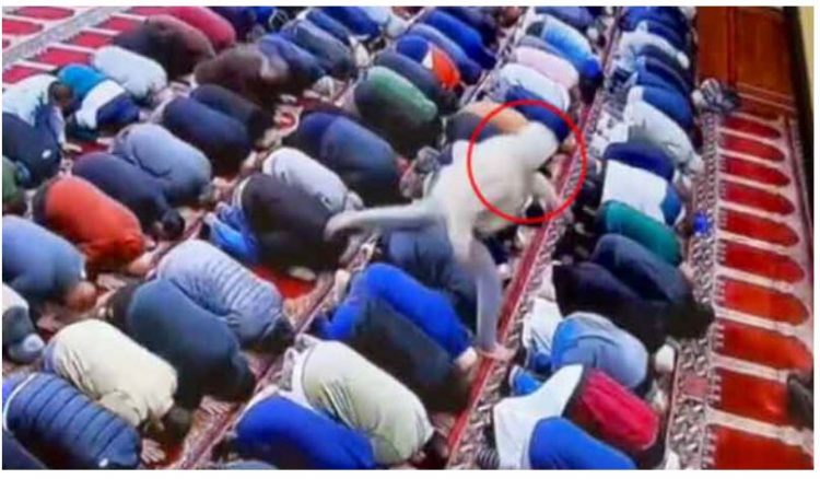 Imami i Nju Xhersi goditet me thikë në xhami (VIDEO)