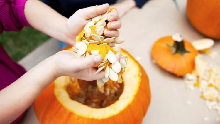 Farat e kungullit, ilaçi i mrekullueshëm natyror