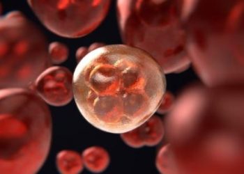 Shkencëtarët zbulojnë molekulën që bllokon qelizat e kancerit