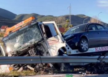 Aksident me vdekje në Lushnje, karrotreci përplas endacakun