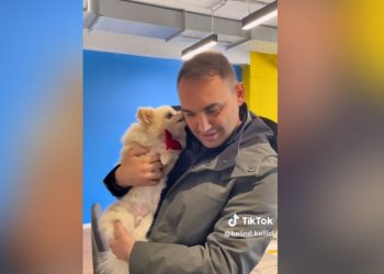 VIDEO/ Këlliçi prezanton anëtarin e ri super të veçantë të ekipit