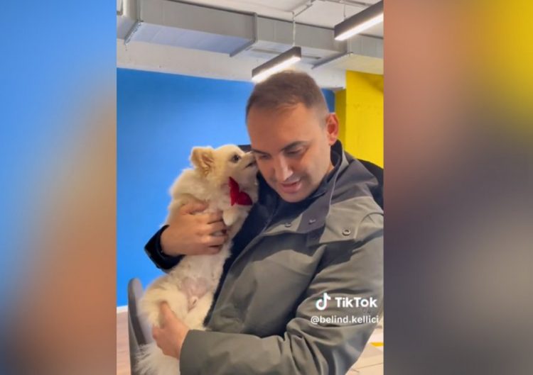 VIDEO/ Këlliçi prezanton anëtarin e ri super të veçantë të ekipit