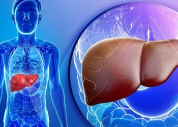 Pija mrekullibërëse që ndalon plakjen e parakohshme