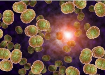 24 prilli Dita Botërore e Meningjitit, ja kë godet dhe simptomat