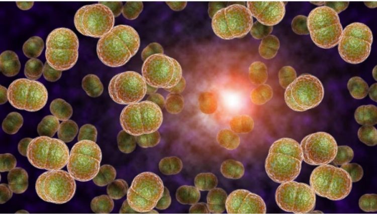 24 prilli Dita Botërore e Meningjitit, ja kë godet dhe simptomat