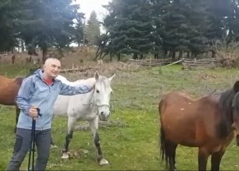 VIDEO/ Meta si ‘Vlashi‘, shfaqet këtë të dielë pranë kuajve…