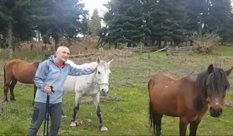 VIDEO/ Meta si ‘Vlashi‘, shfaqet këtë të dielë pranë kuajve…