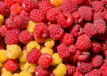 Mjedra, ja vetitë e këtij super fruti