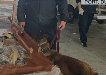 VIDEO/ Arsenal armësh drejt Anglisë, operacion në Portin e Durrësit