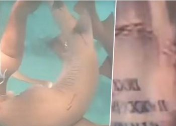 VIDEO/ Peshkaqeni i ngul dhëmbët në shpinë notares, ajo…