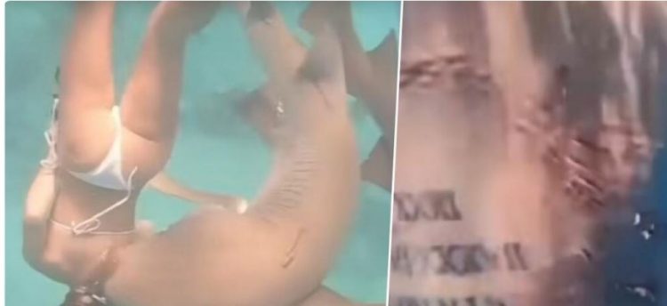 VIDEO/ Peshkaqeni i ngul dhëmbët në shpinë notares, ajo…