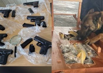 Pistoleta drejt Anglisë, zbulohet pronari i kompanisë së mallrave