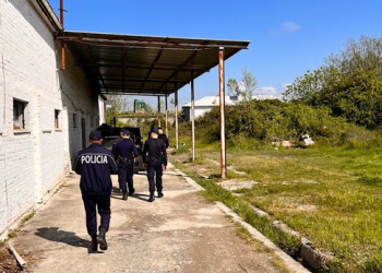 Ç’kërkonte policia dje në Nikël? Asgjësoi 1140 rrënjë kanabisi