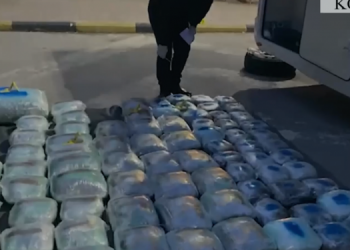 Kapshticë/ Sekuestrohen 118 kg kanabis, në pranga dy rumunë