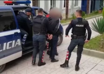 Arrestohet 30-vjeçari në Elbasan, ishte në kërkim