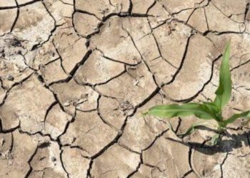 2022, viti më i thatë në historinë e Europës