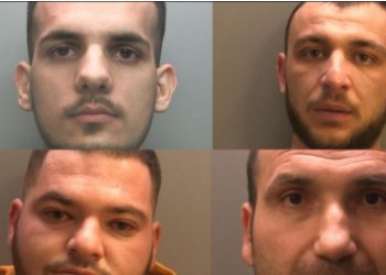 EMRAT-FOTO/ Shqiptarët kapen në fermë kanabisi në Angli