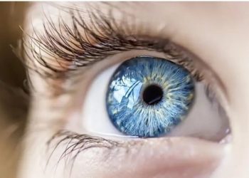 A e dinit? Njerëzit me ngjyrë blu janë pasardhësit e…