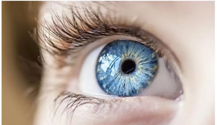 A e dinit? Njerëzit me ngjyrë blu janë pasardhësit e…