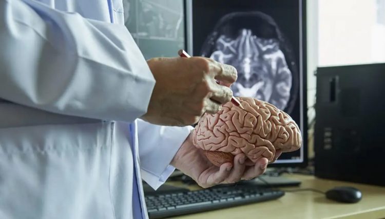 Arsyeja pse Danimarka mban 10 000 tru njerëzish në një bodrum