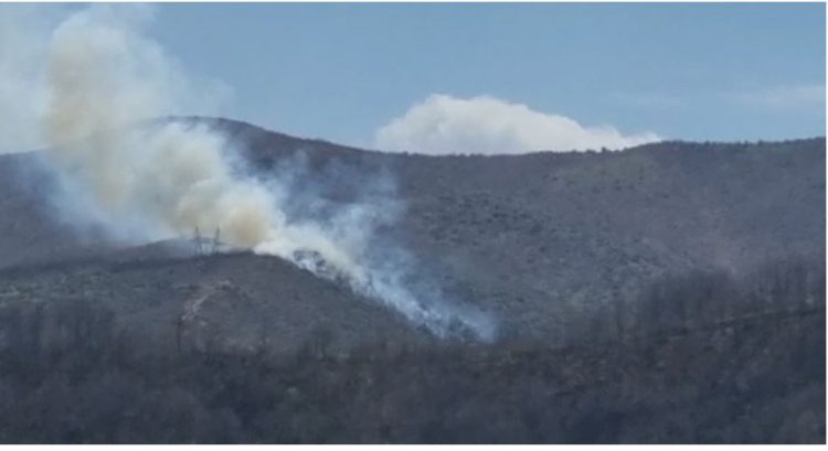 Bie zjarr në masivin pyjor në Pogradec