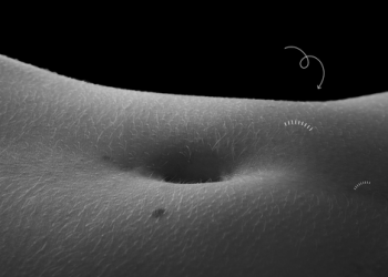 Zonat erogjene, ja cilat pjesë të trupit janë shumë sensitive te burrat e gratë