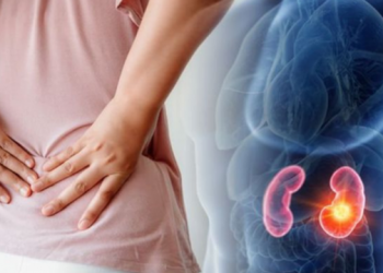 KUJDES! Këto ushqime dëmtojnë veshkat