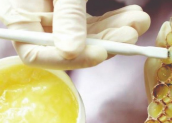 Nga kolagjeni te sistemi nervor, ja përfitimet nga qumështi ‘special’