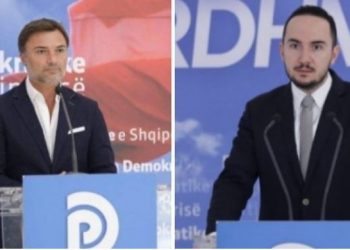 Dorëheqja e Alibeajt, Salianji bëhet kryetar i Grupit Parlamentar të PD