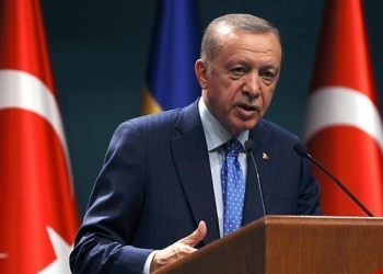 Zgjedhjet ne Turqi, Erdogan fiton shumicën parlamentare