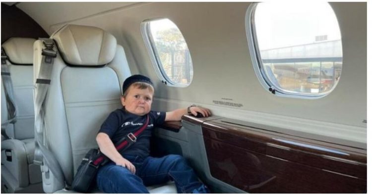 Arrestohet ylli i TikTok-ut Hasbulla, ja ç’ka ndodhur (VIDEO)