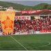 Partizani kampion i Shqipërisë