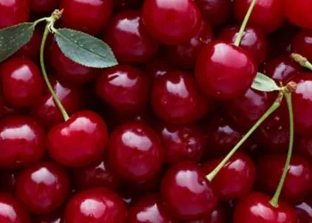 Stina e qershive, ja pse duhen konsumuar para darke