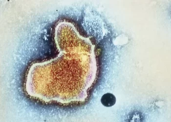 SHBA aprovon vaksinën e parë kundër virusit respirator