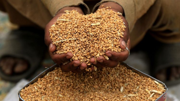 OKB: Çmimet e ushqimeve rriten për herë të parë pas një viti