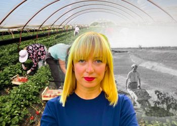 Sektori i bujqësisë kthehet 30 vite pas, vaditet 50% më pak tokë se para viteve ’90