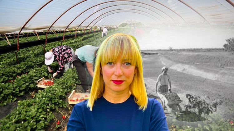 Sektori i bujqësisë kthehet 30 vite pas, vaditet 50% më pak tokë se para viteve ’90